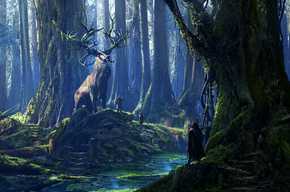 Druid Forest